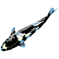 Spaceplane Other Spaceplane Other