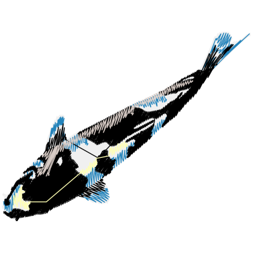 Spaceplane Other Spaceplane Other