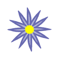 Sun Cream Other Sun Cream Other