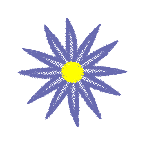 The Color Star Other The Color Star Other