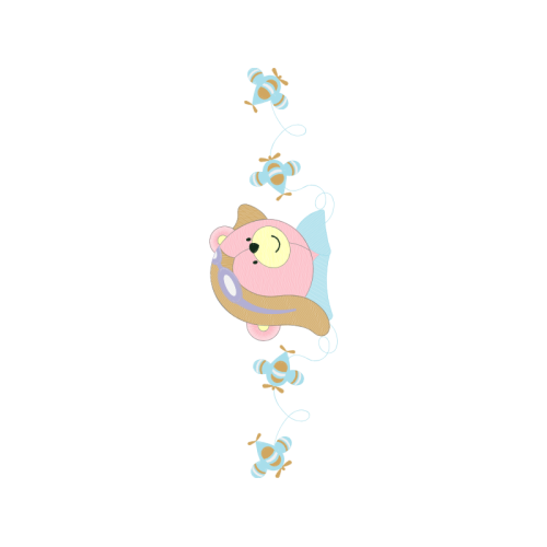 Tortoise Other Tortoise Other