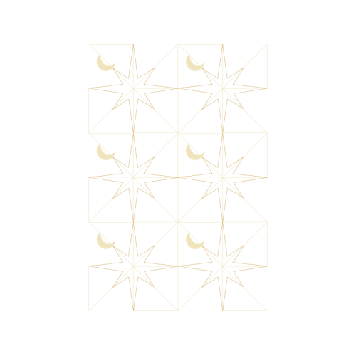 Triangle Other Triangle Other