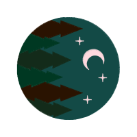 Visual Arts Other Visual Arts Other