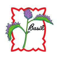 Bizkit Technologies Inc Other