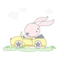 Domestic Rabbit Patches