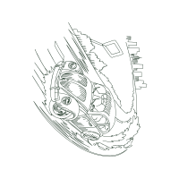 Drawing Patches Drawing Patches