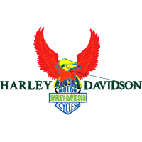 Falconiformes Patches