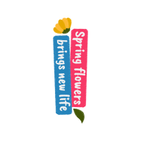 Illustration Patches