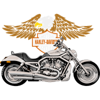 Illustration Patches