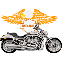 Illustration Patches