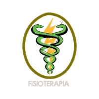 Physical Therapy Patches