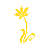 Apotheke Am Bahnhof Patches