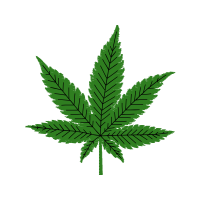 Hemp Patches Hemp Patches