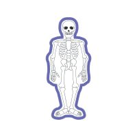 Human Patches Human Patches