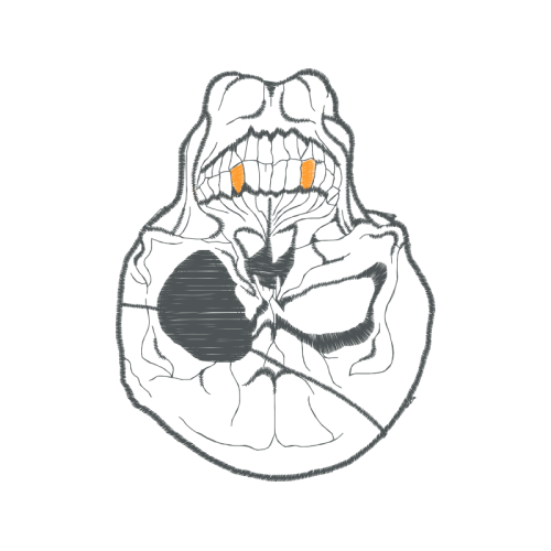 Line Art Patches Line Art Patches