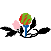 Graphic Patches Graphic Patches