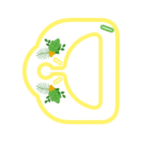 Graphic Patches Graphic Patches