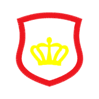 Illustration Patches Illustration Patches