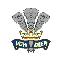 Illustration Patches