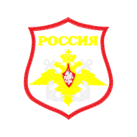 Illustration Patches