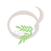 Illustration Patches