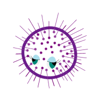 Ashoka Chakra Patches Ashoka Chakra Patches