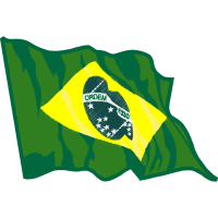 Brazil Patches Brazil Patches