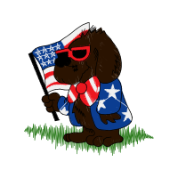 Drawing Patches Drawing Patches