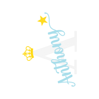 European Union Patches European Union Patches