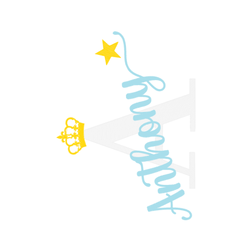 European Union Patches European Union Patches