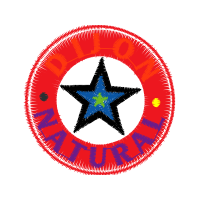 Flag Of North Korea Patches Flag Of North Korea Patches