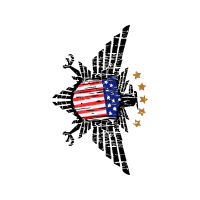 Flag Of The United States Patches Flag Of The United States Patches