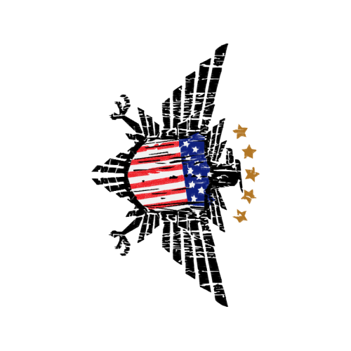 Flag Of The United States Patches Flag Of The United States Patches