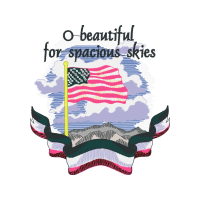 Illustration Patches