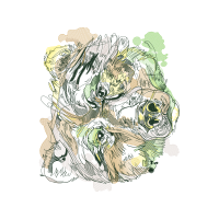 M 02Csf Patches M 02Csf Patches