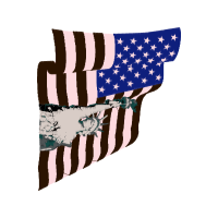 United States Patches