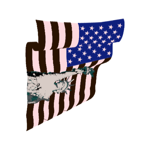 United States Patches United States Patches