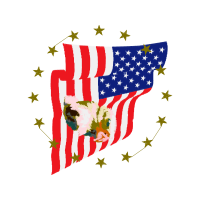 United States Patches United States Patches