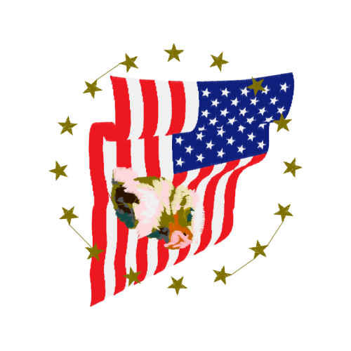 United States Patches United States Patches