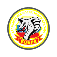 Cat Patches Cat Patches