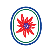 Flower Patches Flower Patches