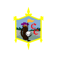 Illustration Patches