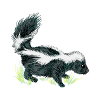 Stoat Patches Stoat Patches