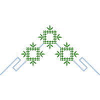 Edge Scientific People Edge Scientific People