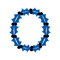 Raceface Narrow Wide Chainring People