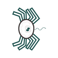 Drawing People Drawing People