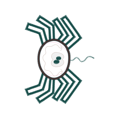 Drawing People Drawing People