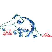 African Elephants People