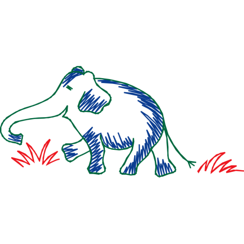 African Elephants People African Elephants People