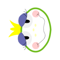 Art People Art People